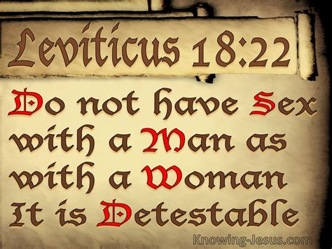 leviticus 18 22 bible study